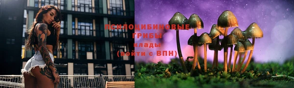 твердый Армянск