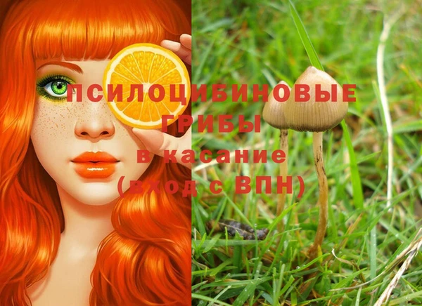прущая мука Арсеньев