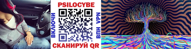 продажа наркотиков  ОМГ ОМГ   Галлюциногенные грибы ЛСД  Серафимович 